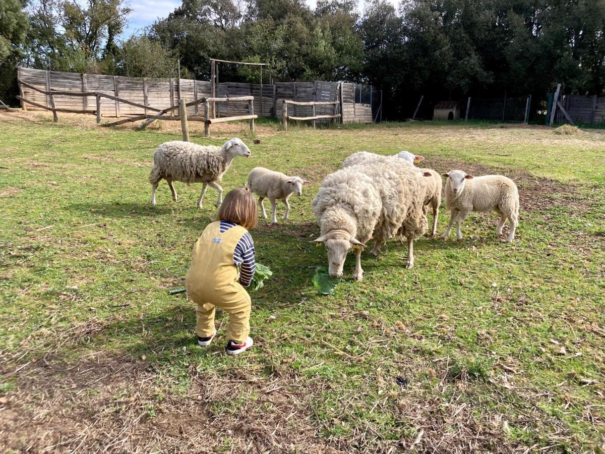 Mas La Ginesta - Ideal Per Families Amb Infants Borrassá المظهر الخارجي الصورة